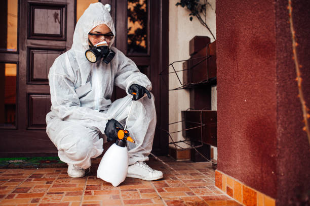 Reliable Ant Control contractor in North Boston, NY by Show Me Pest Control